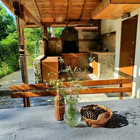 Velina House *