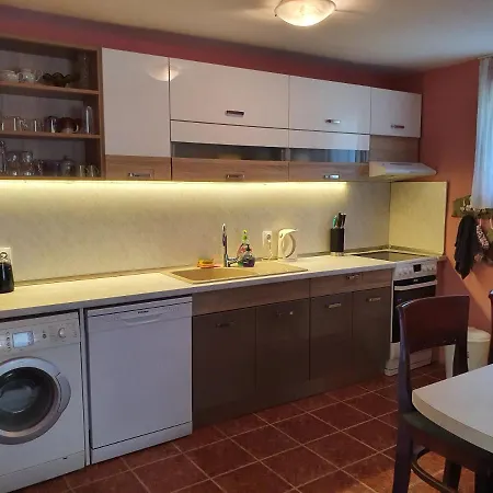 Pensionat Velina House *